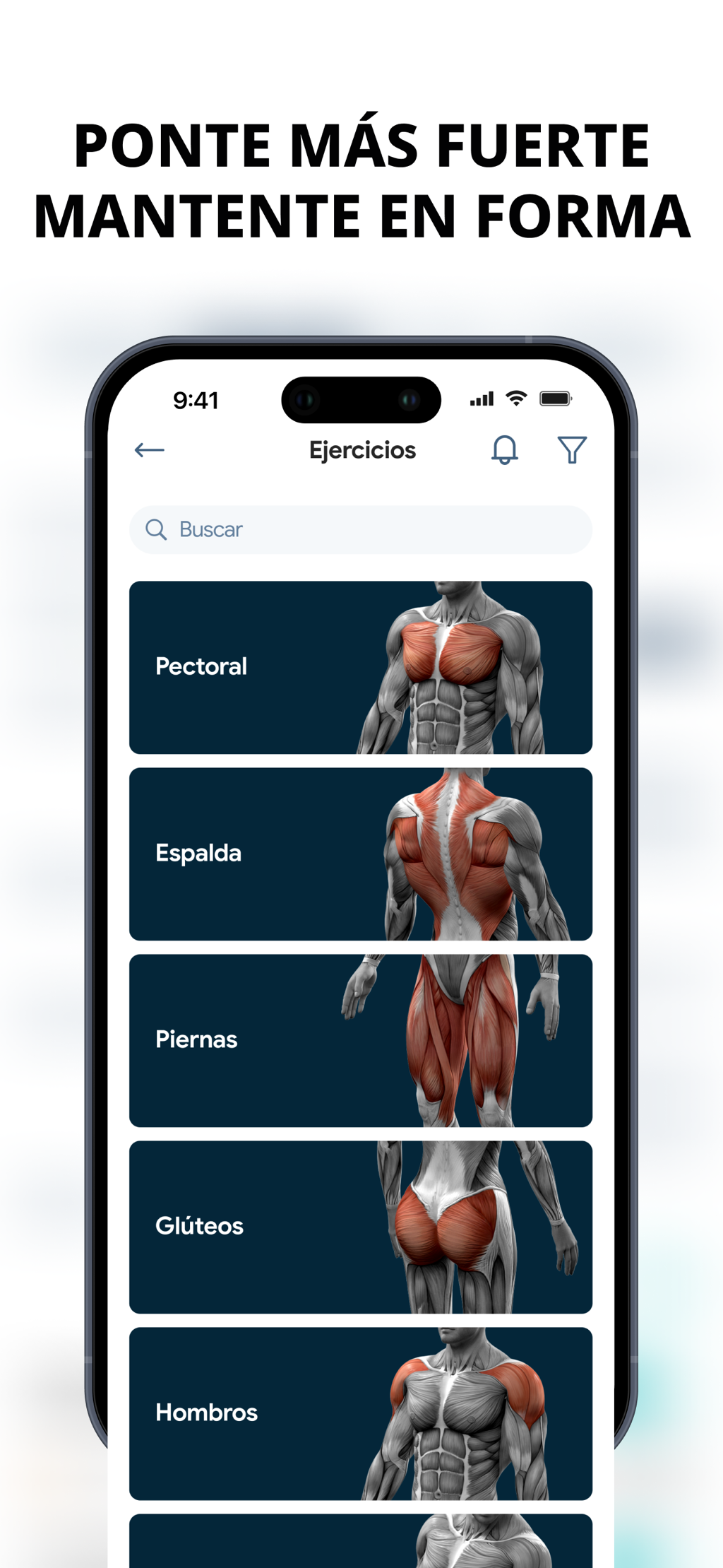 Portada de Fitness Online | Premium